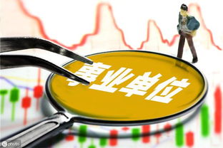 18類事業(yè)單位之信息咨詢服務 了解與作用