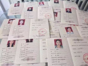 泰州世紀天驕教育信息咨詢服務部 賦能教育，專業(yè)咨詢助力成長